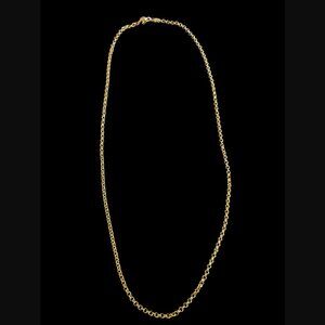 Dyrberg Kern Gold Tone 4.6mm 35" Long Chain Necklace